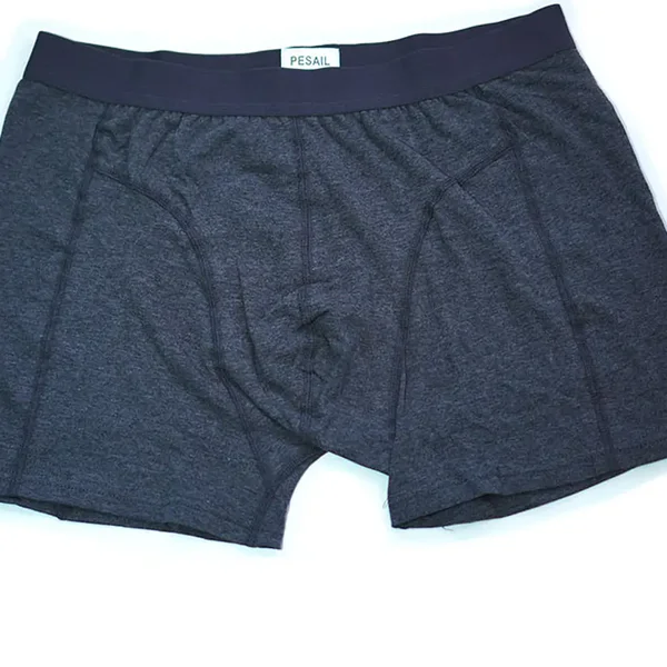 Boxer